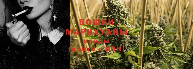 Бошки марихуана THC 21%  мориарти состав  Невьянск 